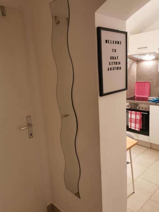 Zentrale, Ruhige Wohnung Nahe Murinsel & Kunsthaus Graz Dış mekan fotoğraf